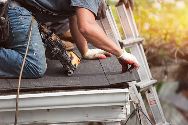 Best Roof Replacement Cost  in Falmouth, KY