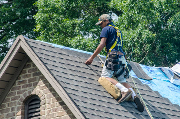 Roof Repair Estimates in Falmouth, KY
