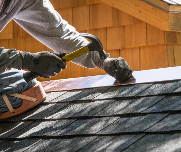 Best Metal Roofing Contractor  in Falmouth, KY